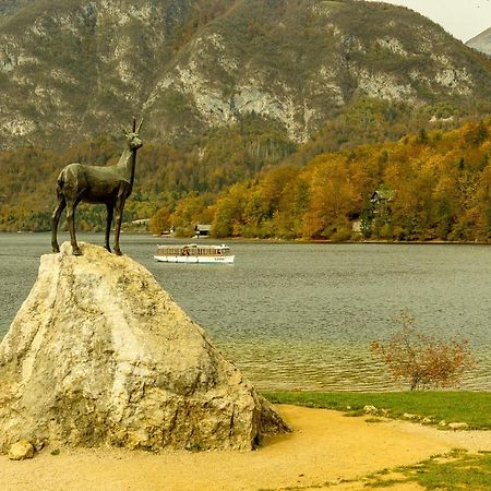 Apartments Sara Bohinji-tó Kültér fotó